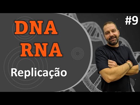 Replicação - A produção de DNA a partir de DNA (Esquemas animados)