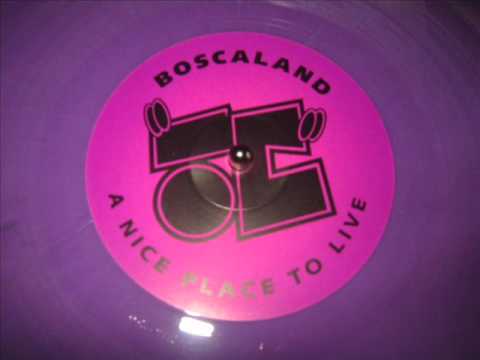 THE DENTIST FROM BOSCALAND-TRACK 4