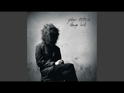 I Got No Time for You - Yellow Ostrich