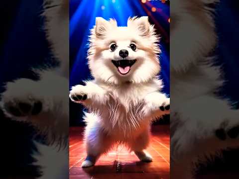 The dancing Dog | Funny dog videos #youtubeshorts #funnyshorts #funnydogs #dogshorts