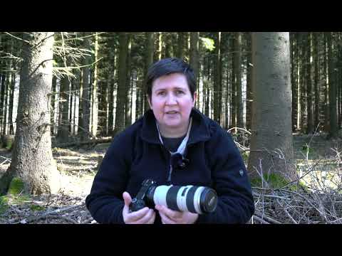 Tiere mit wenig Brennweite fotografieren? Klar geht das!