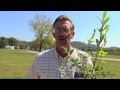 Video preview for How To Plant A Blueberry Bush