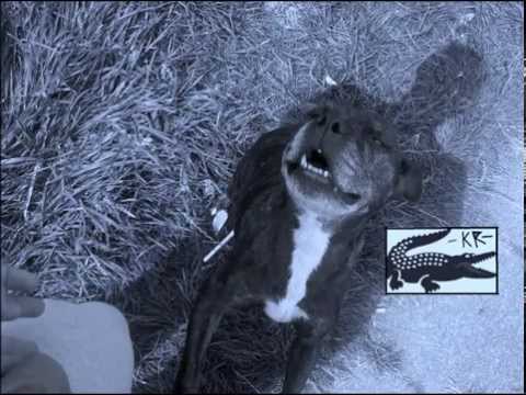 WOODCROSS DONK MIX #1 2013