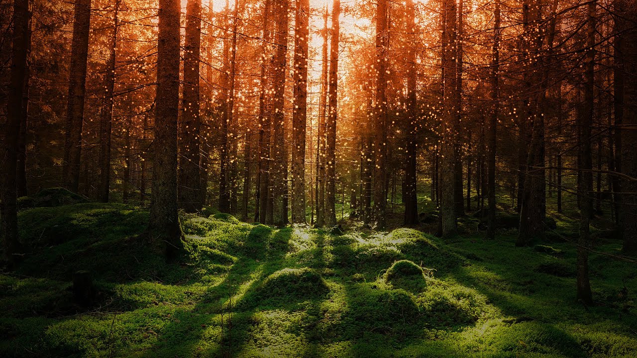 Mystique String Studio VS-3 Sound Bank thumbnail 1