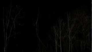 Boiler room (2000) - Speech intro