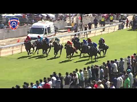 RM6 R4 | Borya | O.Plaçais