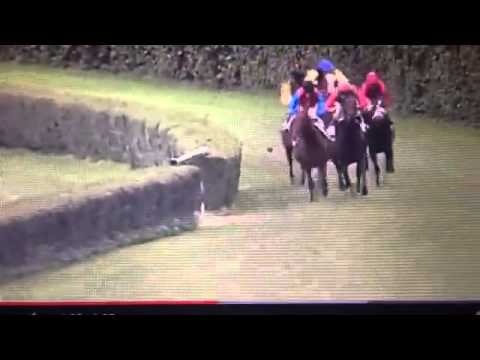 Madurai    2nd GROSSER PREIS VON ENGEL & VOLKERS DUSSELDORF LISTED RACE TURF 15 9 13