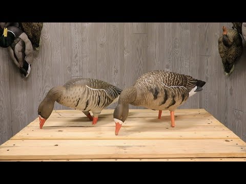 Speck Full Body Goose Decoy Comparison II
