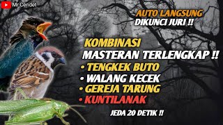 Download lagu KOMBINASI MASTERAN TERLENGKAP !!TEMBAKAN TENGKEK BUTO, WALANG KECEK, GEREJA TARUNG, DAN KUNTILANAK  mp3