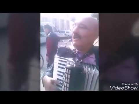 PARODII MUZICALE +14 ANI MORI DE RÂS!!!!