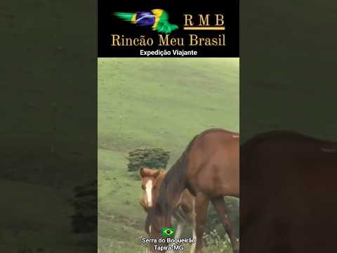 Serra do Boqueirão - Tapira MG #minasgerais #fazenda #pecuarista #gado #paisagemnatural #aves