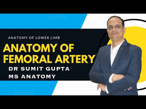 Femoral Artery Anatomy 3D : Origin, Course, Branches and relations