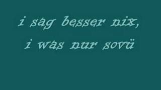 du verstehst mi ned - wolfgang ambros