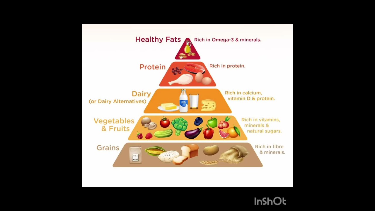 Food pyramid for kids #shorts #viral #trending