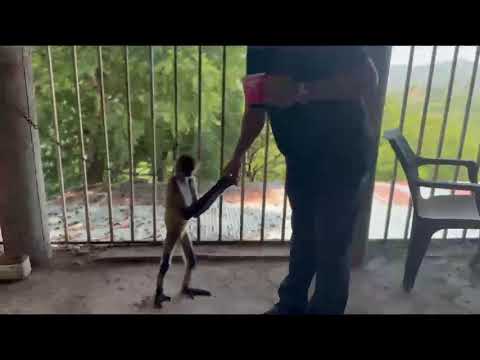 Un viaje por San Pedro del Norte, Chinandega, compartir el video y seguirnos para más aventuras.