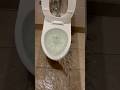 Powerful toilet overflow!!