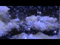 Arnold Schoenberg, String Quartet No. 1 in d ...