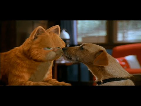 Garfield (2004) - Odie in the house