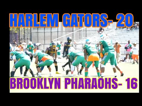 Brooklyn Pharaohs vs Harlem Gators 2022! Harlem Gators WIN 20-16! |Semi Pro Football 2022|