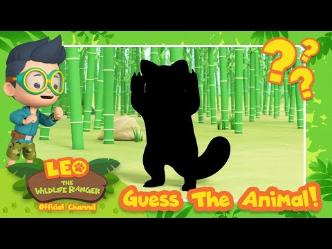 Witness21  2023 07 21