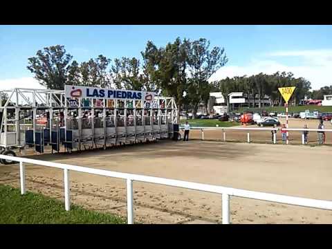 Gateras Hipódromo Las Piedras