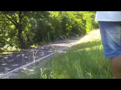 38 rally città di Modena