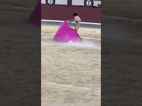 LAS VENTAS 2025 -Corrida In Memoriam | Borja Jiménez abre la puerta grande de Madrid -Dom 15/06/25