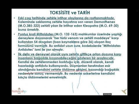 , title : 'Detoks Fazları ve Destek Tedavileri - Dr. Murat Baş - Bütüncül Tıp Okulu'