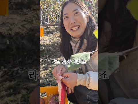 사과는 역시 의성사과 #sports