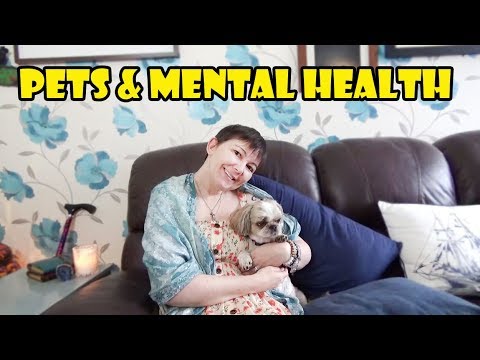 How pets can help your mental health [CC]