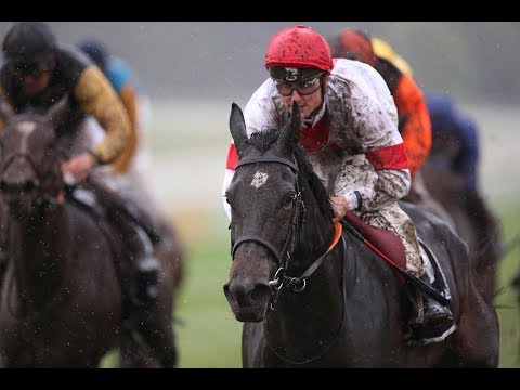 Köln: Preis des Casino Baden Baden - Kölner Stutenpreis (L) - Siegerin: Enissa