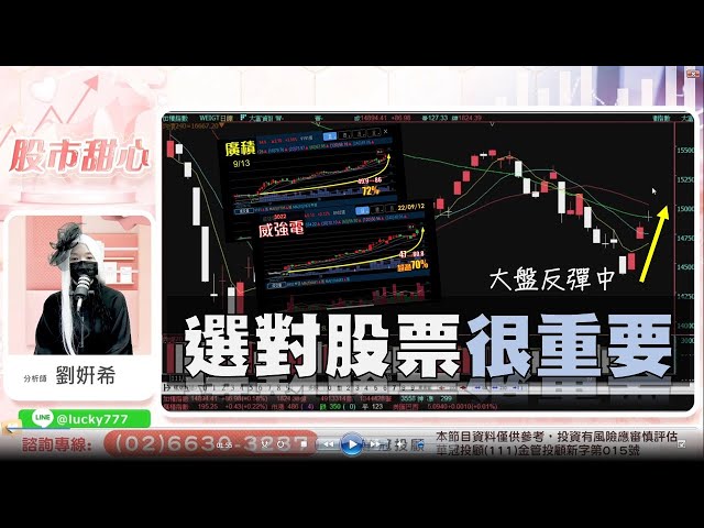 0913 - 指數持續反彈，選對股票很重要