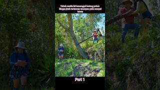 Download lagu This woman's body was hit by a tree trunk and fell, being impaled by a nail #filmstoryline mp3