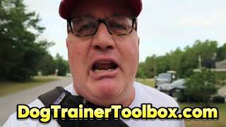 Me & My Big Mouth: How To Handle "The Other Dog Trainer" Objection
