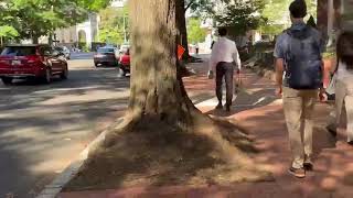 En uno de los barrios de Washington DC