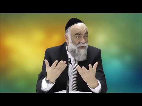 האורח - הרב משה פינטו HD