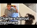 Charlie S Haircut Nightmare