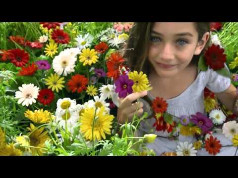 Slava Basyul - Разбуди Меня (Angelica S Ambient Bootleg Mix)