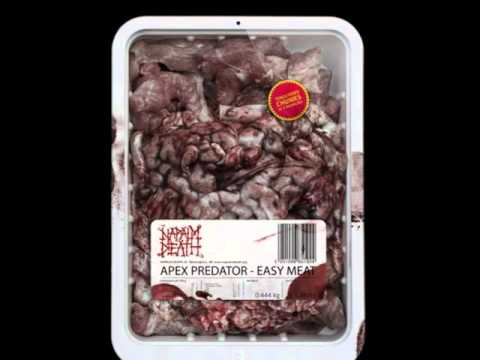 download lagu mp3 mp4 Napalm Death Apex Predator, download lagu Napalm Death Apex Predator gratis, unduh video klip Napalm Death Apex Predator
