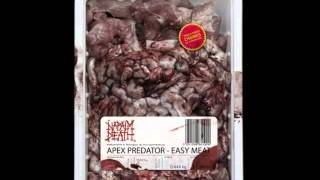 Napalm Death - Apex Predator - Easy Meat