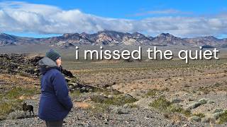 Desert Life: What I Found