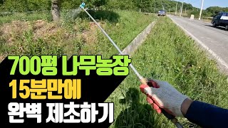 700평 나무농장 15분만에 완벽 제초하기 | 나무대장