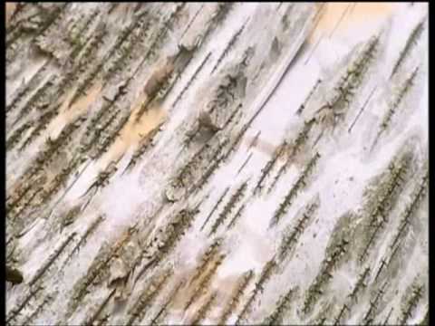 Birch Bark Canoe Ray Mears Bushcraft S2E1 part 5