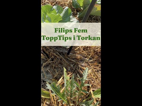 Filips Fem Topptips i torkan - Trädgårdshacks med GardenR