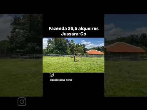 62-9-8305-7960  - FAZENDA 26,5 ALQUEIRES EM JUSSARA GO