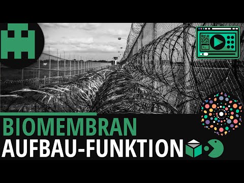Biomembran Aufbau und Funktion │Biologie Lernvideo [Learning Level Up]