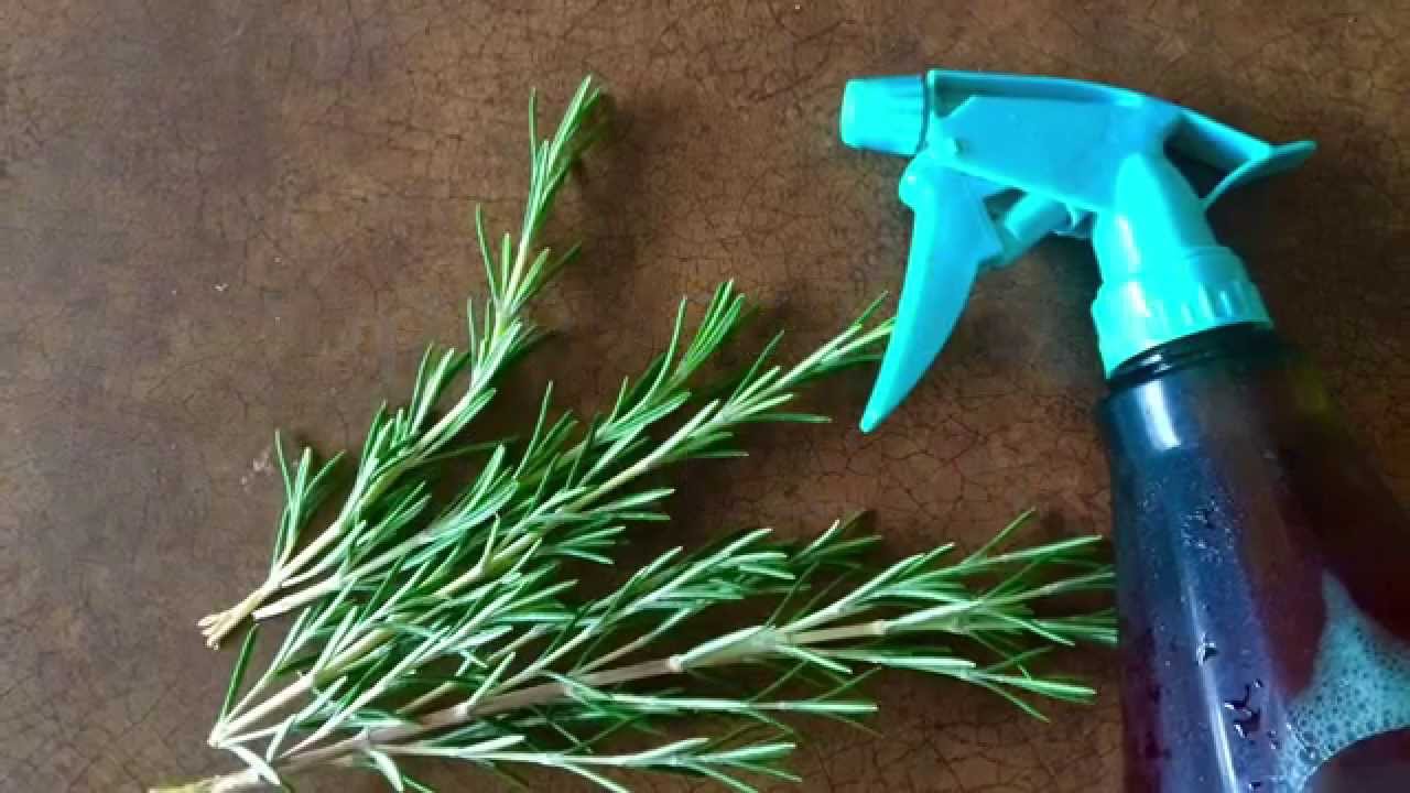 How to make Leave in Conditioner Spray - Rosemary Treatment