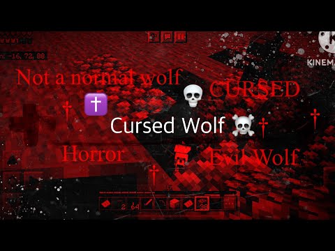 Mysterious Wolf Mystery!