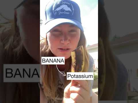 The BEST way to fertilize your TOMATOES (prevent blossom-end rot)