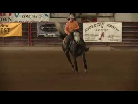 Sam Wells - Fritz N Playgun